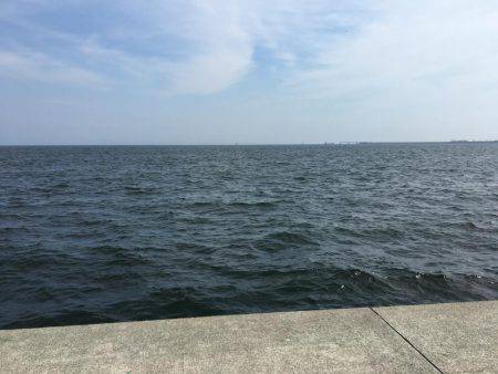 青物とヘチ釣り